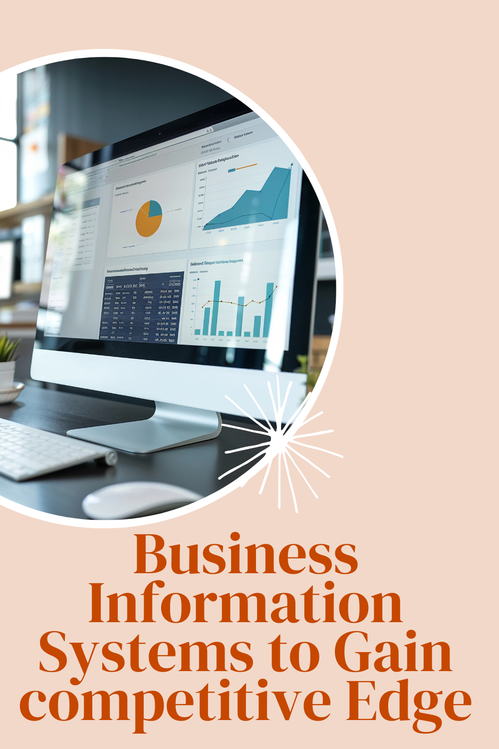 Business Information Systems to Gain competitive Edge