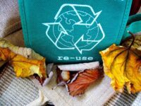 What Every Business Needs to Know About Cost-Effective Recycling Solutions